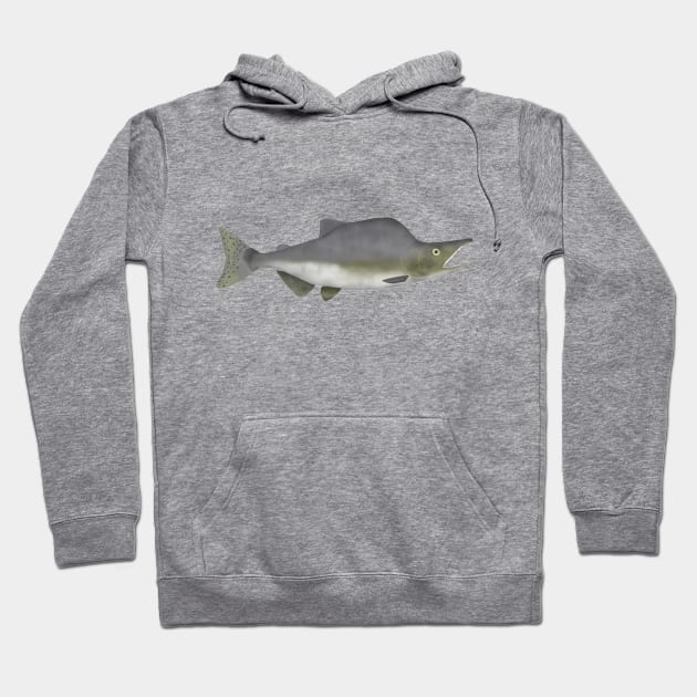 Pink Salmon - Spawn Phase Hoodie by FishFolkArt